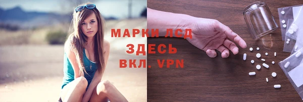 мяу мяу мука Тутаев