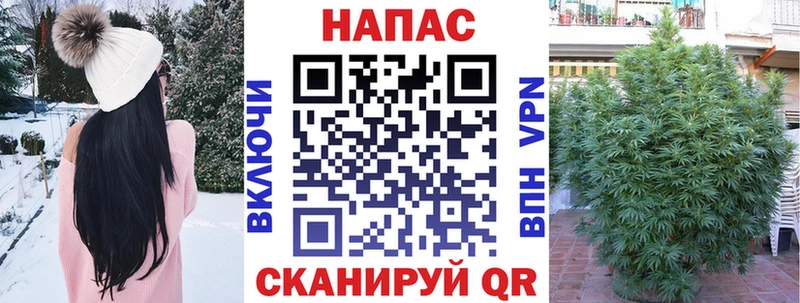 Конопля SATIVA & INDICA  Безенчук 